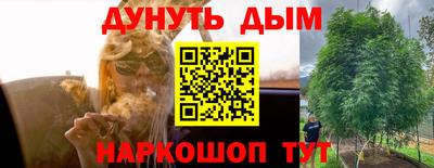 ГАЛЛЮЦИНОГЕННЫЕ ГРИБЫ Гулькевичи