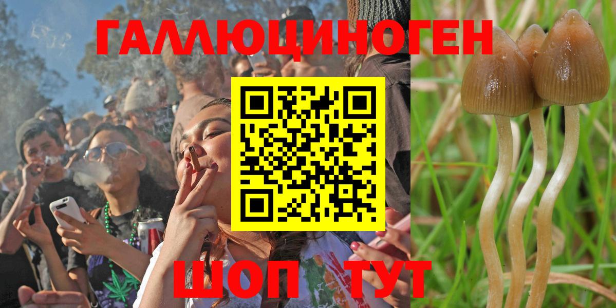 Благодарный  Псилоцибиновые грибы Cubensis  Вход с VPN 