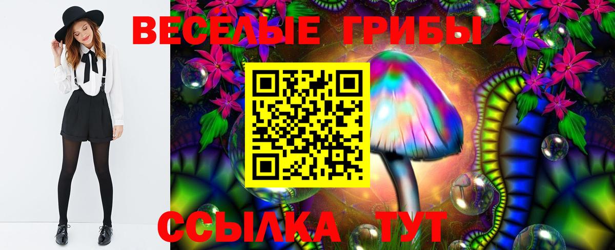 Благодарный  ГАШ  Купить наркотики цена  Вход с VPN  КОКАИН  МЕФ кристаллы  МАРИХУАНА 